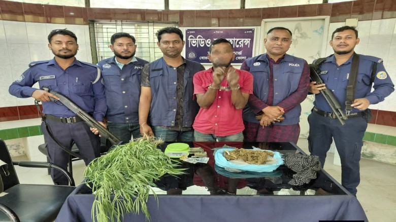 বোরহানউদ্দিনে পুলিশের অভিযানে ৫ গাঁজা গাছ সহ মাদক ব্যবসায়ী আ