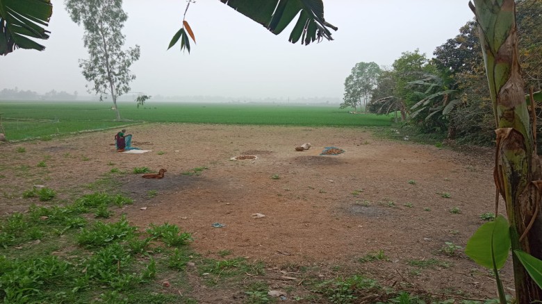 রায়গঞ্জে কৃষকের জমিতে ধান আবাদ করতে বাধা