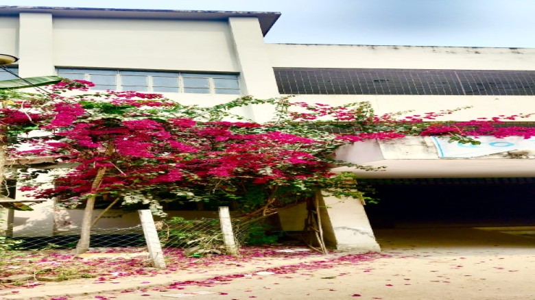 তানোর উপজেলা স্বাস্থ্য কমপ্লেক্সের ছাদে ফুলের সমারোহ
