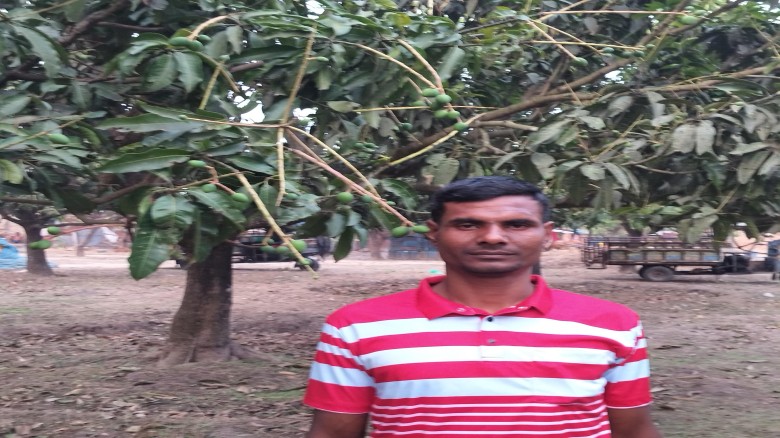 এবার চাঁপাইনবাবগঞ্জে আমের বাম্পার ফলনের আশা