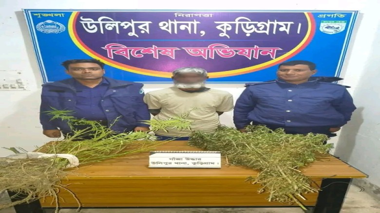 কুড়িগ্রামের উলিপুরে গাঁজার গাছসহ ১ জন মাদক কারবারিকে গ্রেফতার করেছে পুলিশ...