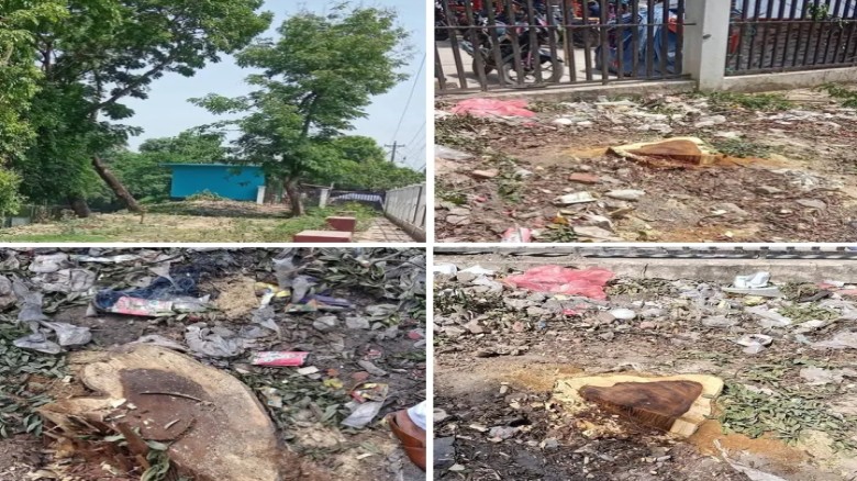 ফরিদপুরে শিশু পার্কের গাছ কেটে দোকান বরাদ্দের অভিযোগ, জনমনে 