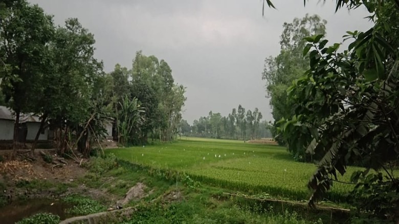 কচাকাটায় বৃষ্টি ও ঘূর্ণিঝড়, শ্রমজীবী মানুষের কাজে ব্যাঘাত