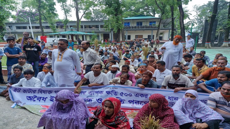 মির্জাপুরে ইটভাটার ধোঁয়ায় পুড়ে ধান নষ্ট, ক্ষতিপূরণের দাবিতে 