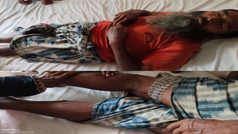ভোলাহাটে ধান কাটার সময় বিষধর সাপের কামড়ে বৃদ্ধ কৃষক গুরুতর আ