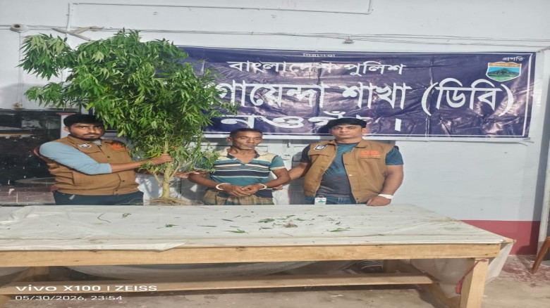 নওগাঁয় মাদকবিরোধী অভিযানে গাঁজার গাছসহ এক ব্যক্তি গ্রেফতার